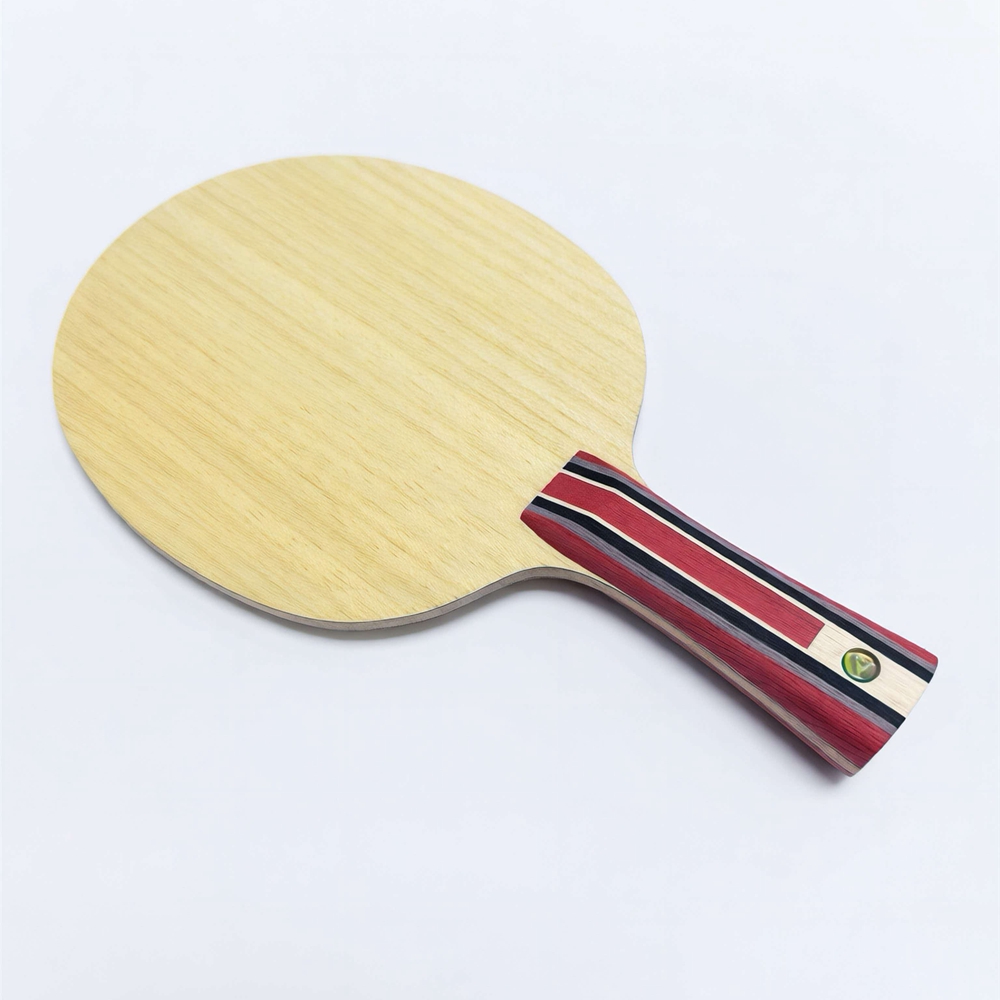 Table Tennis Custom Bat - Raquete de Tênis de Mesa Fan