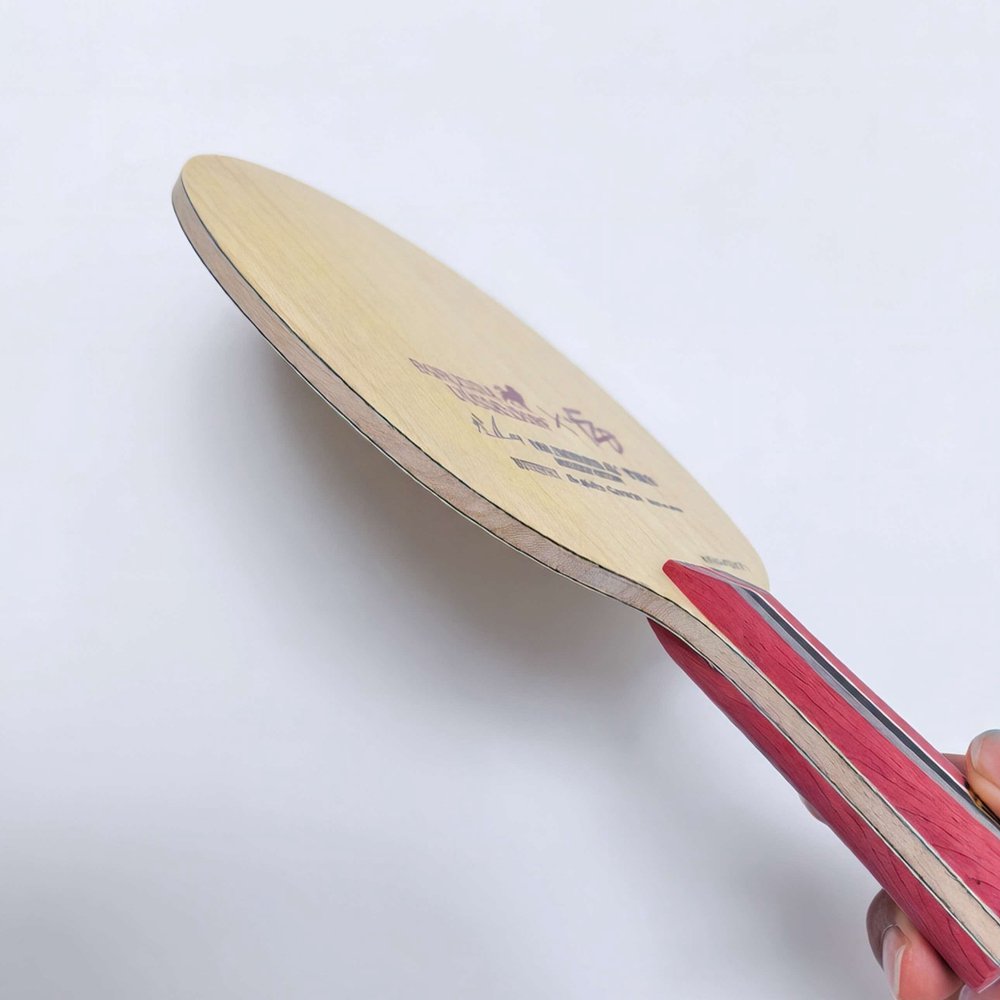 Raquete de Tênis de Mesa Fan Z - Table Tennis Custom Bat avaliação e preço